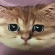 みっちゃん❣️必ずプロフ読んでねの画像