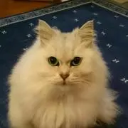 やまけん