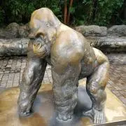 四季の画像