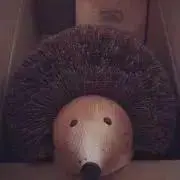 ガチャの画像