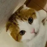 たかひろ