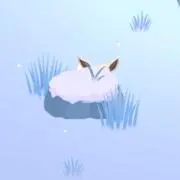 Nの画像