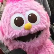 サリーの画像