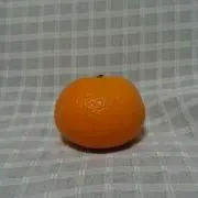 ねこじゃらし