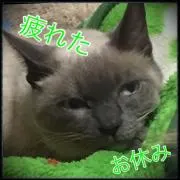 かっこ