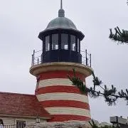 チャボチ
