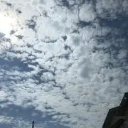 ひろしの画像