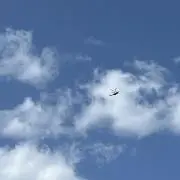 ゆうきの画像