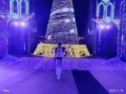 田んぼ