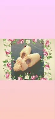 こんこの画像