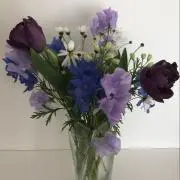 saku【プロフ必読】の画像