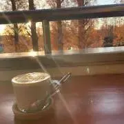 ねこまるねここの画像