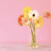 flowerの画像