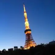 aa1297aaの画像