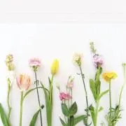 m.mの画像