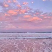 TUNA104の画像