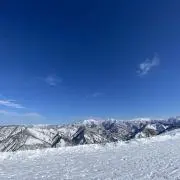 michaの画像