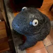 なーとの画像