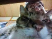やまてぃ