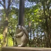 めいの画像