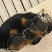 iiii