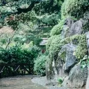 【23】の画像
