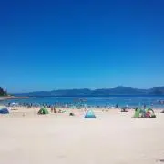 ちとせの画像