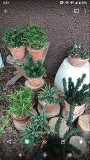 そらの画像