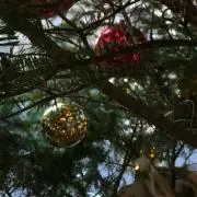 セルマン化粧品　新品　値下げ水曜日まで！！ セルマン化粧品 新品 値下げ水曜日まで！！ 2025年最新