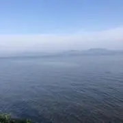アーロニーロの画像