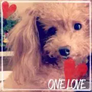 JURA♡~プロフ必読~