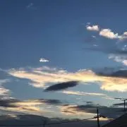 花乃の画像