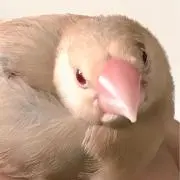37の画像