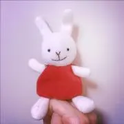 けらの画像
