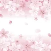 b,yii☆の画像