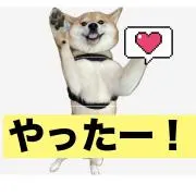 トラ吉　〔即ご購入大歓迎〕自己紹介文参照の画像