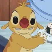 まりもの画像