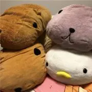 りょうの画像