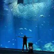 うららかの画像