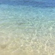 もちもちの画像
