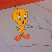 ぽんちゃんの画像