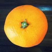 Ich bin'sの画像
