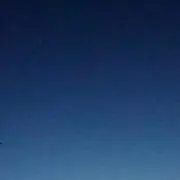双葉