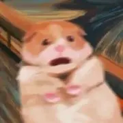 たみみの画像