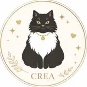 クレア☆CREA☆土日祝発送不可☆の画像