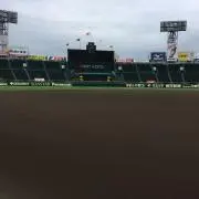 ももしろの画像