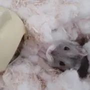みらすん