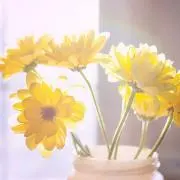 ぷるの画像