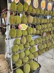 ドリアン