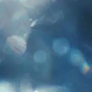 chammの画像